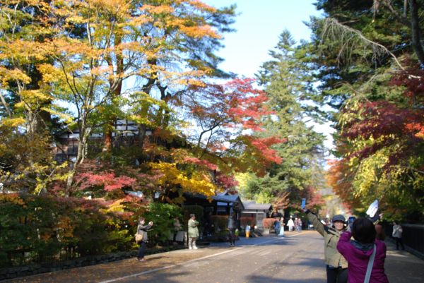 角館武家屋敷通り